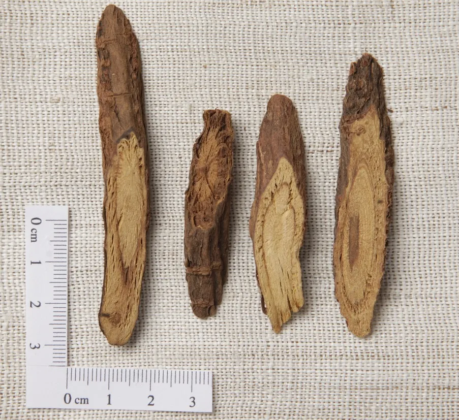 노란 단면이 특징인 감초 약재